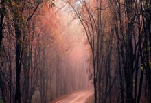 探索天涯论坛的原创文学世界！