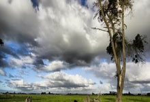 探索天涯论坛的云水谣旅游妙趣天。